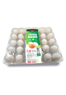 White Fresh Eggs Large