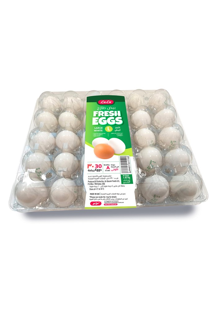White Fresh Eggs Large