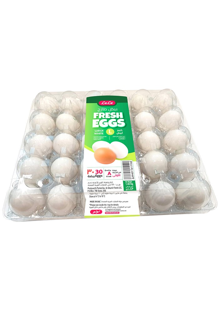 White Fresh Eggs Large
