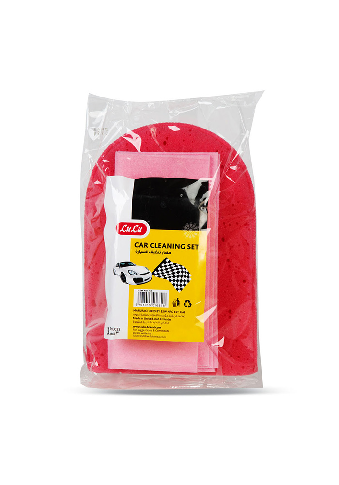 Car Cleaning Set