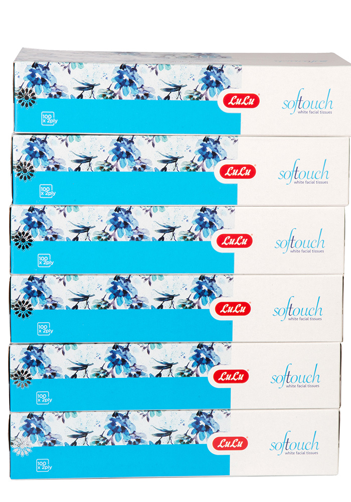 Softouch White Facial Tissues 2Ply 6 x 100pcs