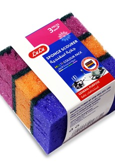 Multi Colour Sponge Scourer